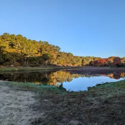 Redbrook Conservation Area - Bourne