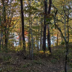 Redbrook Conservation Area - Bourne