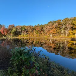 Redbrook Conservation Area - Bourne
