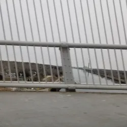 Sagamore Bridge - Bourne