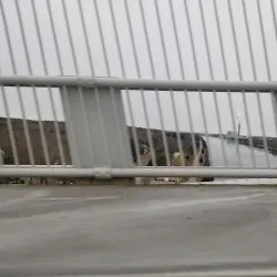 Sagamore Bridge - Bourne