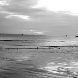 Scusset Beach State Reservation - Bourne