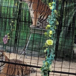 Brockton Fairgrounds - Brockton