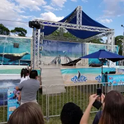 Brockton Fairgrounds - Brockton