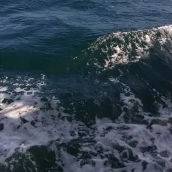 Campanelli Stadium - Brockton