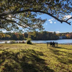 D.W. Field Park - Brockton