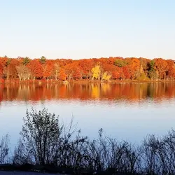 D.W. Field Park - Brockton