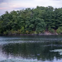 D.W. Field Park - Brockton