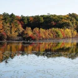 D.W. Field Park - Brockton