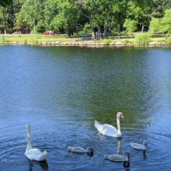 D.W. Field Park - Brockton