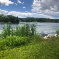 D.W. Field Park - Brockton