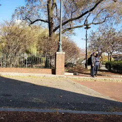 Charles River Reservation - Cambridge