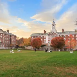 Harvard University - Cambridge