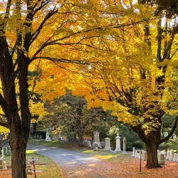 Mount Auburn Cemetery - Cambridge