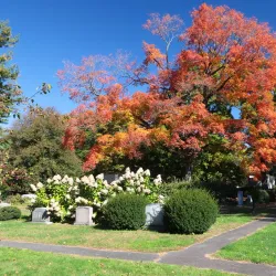 Mount Auburn Cemetery - Cambridge