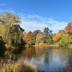 Mount Auburn Cemetery - Cambridge