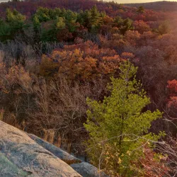Blue Hills Reservation - Canton