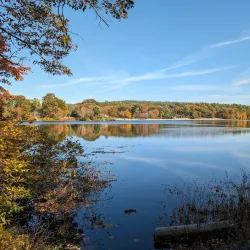 Blue Hills Reservation - Canton