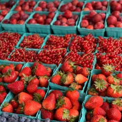 Canton Farmers Market - Canton