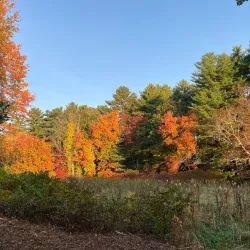 Massachusetts Audubon Society's Moose Hill Wildlife Sanctuary - Canton