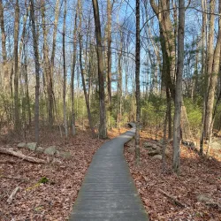 Massachusetts Audubon Society's Moose Hill Wildlife Sanctuary - Canton