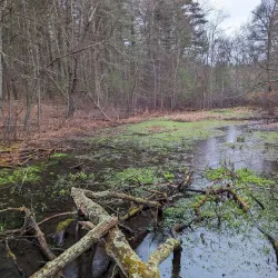 Massachusetts Audubon Society's Moose Hill Wildlife Sanctuary - Canton
