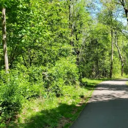 Neponset River Trail - Canton