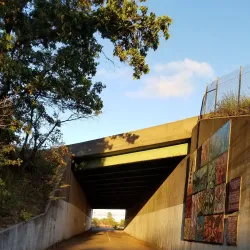 Neponset River Trail - Canton