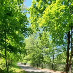 Neponset River Trail - Canton