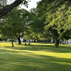 Adams Street Park - Chelsea