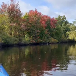 Noble and Greenough School - Dedham