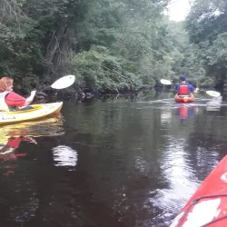 Noble and Greenough School - Dedham