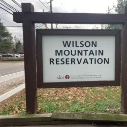 Wilson Mountain Reservation - Dedham