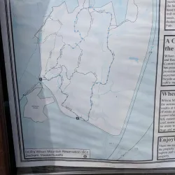 Wilson Mountain Reservation - Dedham