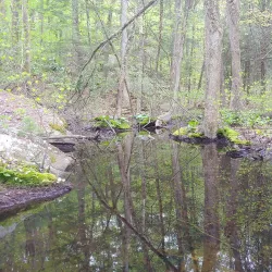 Wilson Mountain Reservation - Dedham