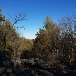 Wilson Mountain Reservation - Dedham