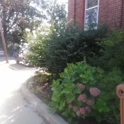 Easthampton Community Center - Easthampton