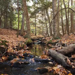 Mount Tom State Reservation - Easthampton