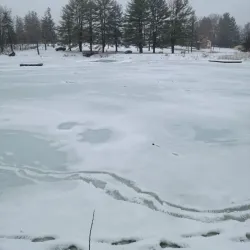 Nashawannuck Pond - Easthampton