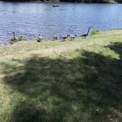 Nashawannuck Pond - Easthampton