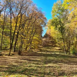 Robinson State Park - Easthampton