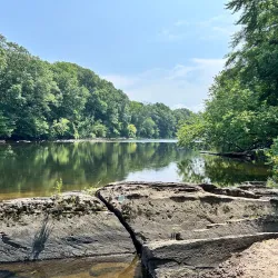 Robinson State Park - Easthampton
