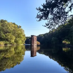Robinson State Park - Easthampton