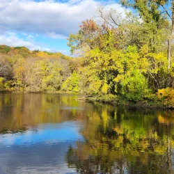 Robinson State Park - Easthampton