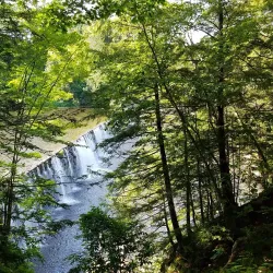 Robinson State Park - Easthampton