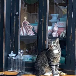 The Shops at the Roundhouse - Easthampton