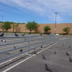 Mystic View Park - Everett