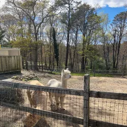 Coonamessett Farm - Falmouth