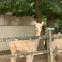 Coonamessett Farm - Falmouth