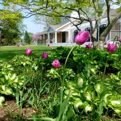Falmouth Museums on the Green - Falmouth